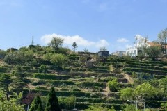 英超焦点战：曼城VS维拉，比分预测与欧战资格悬念