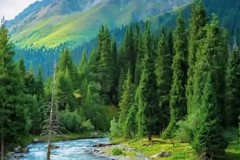 英联赛杯：利物浦VS南安普敦